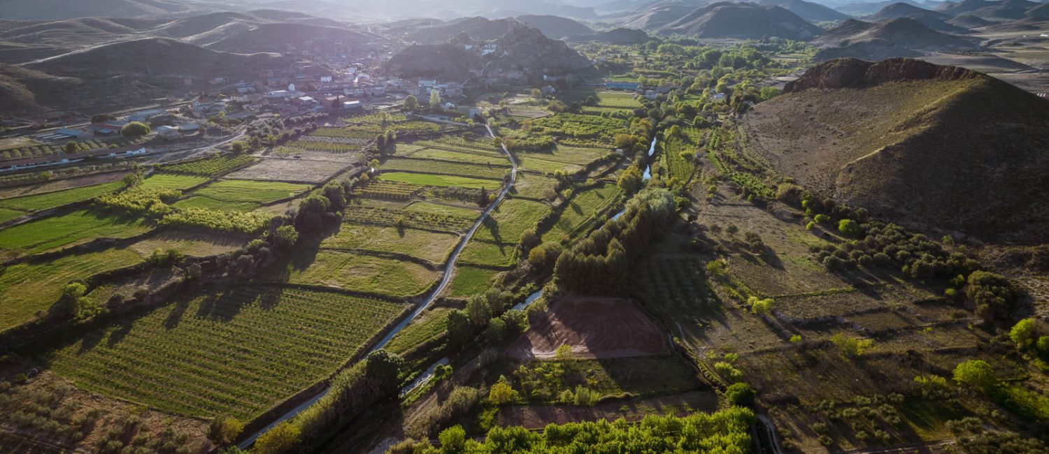 Ayuntamiento de Arándiga - Fotografía aérea - Huertas